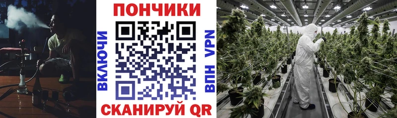 площадка какой сайт  Нестеров  Конопля ГИДРОПОН 